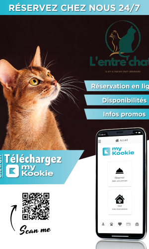 Image de l'application qui permet de réserver en ligne le séjour pour son chat dans la pension féline de L'entre'chats située à Niort dans le 79